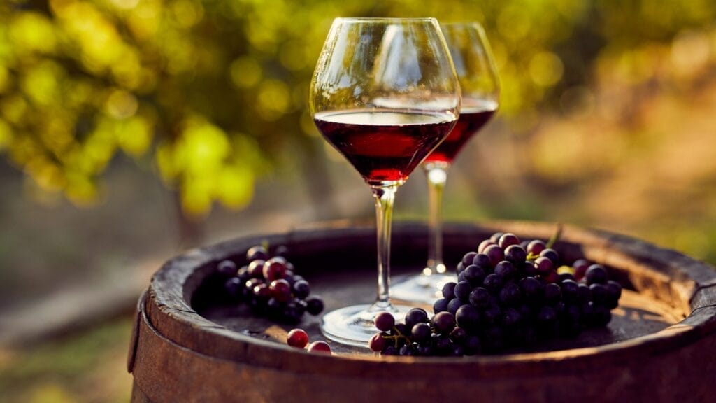 two glasses of red wine with grapes on a barrel in a vineyard